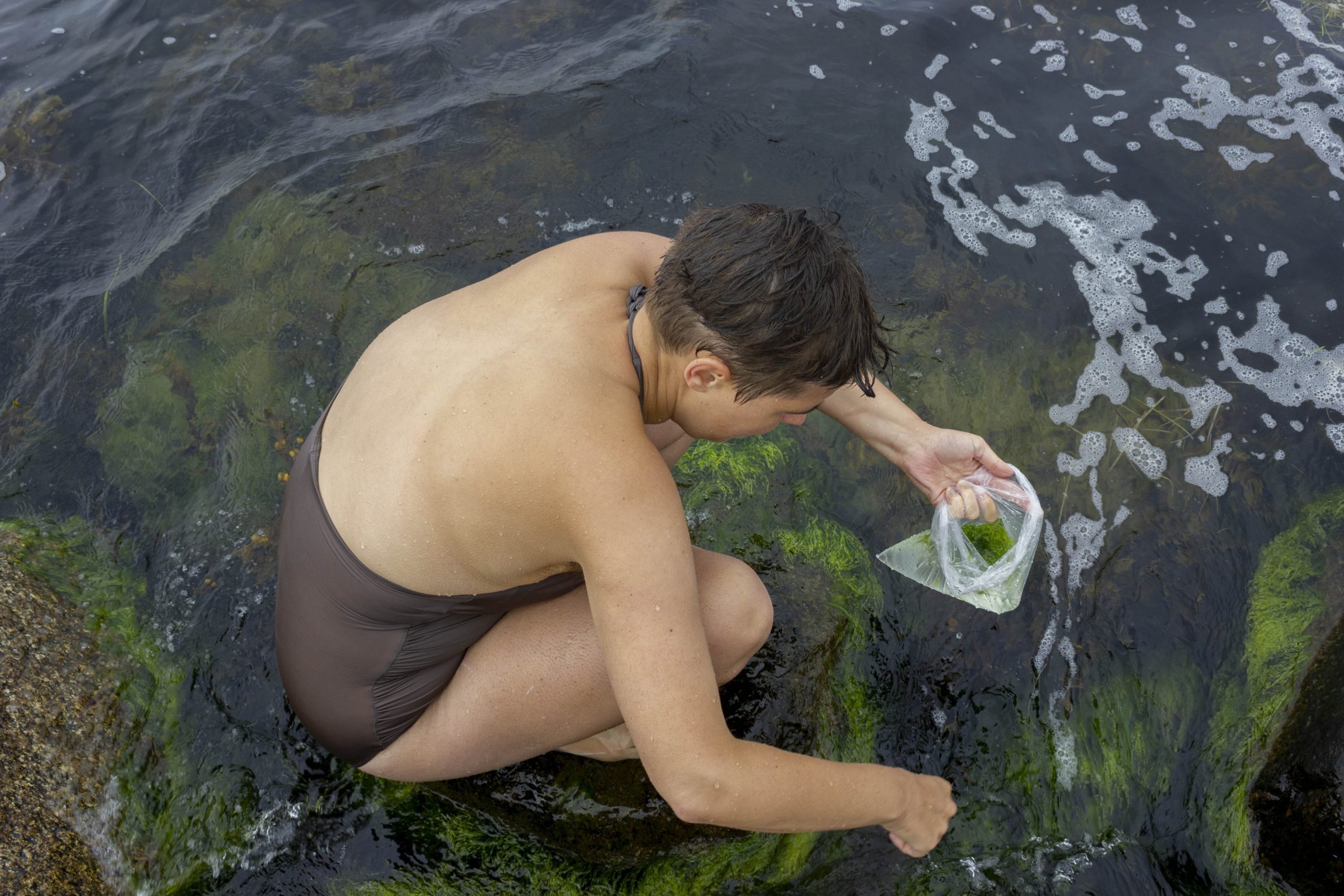 A Great Seaweed Day Ingela Ihrman